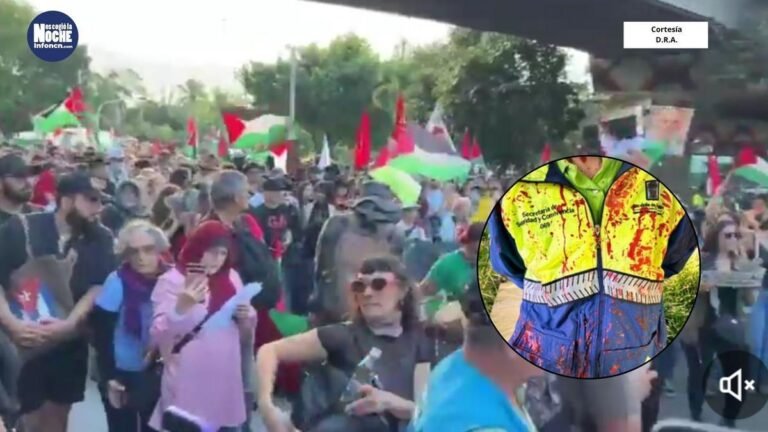 Marcha pro Palestina acabó con la tranquilidad de la ciudad, al generar disturbios