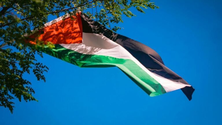 Protesta pro Palestina deja un herido en Bogotá