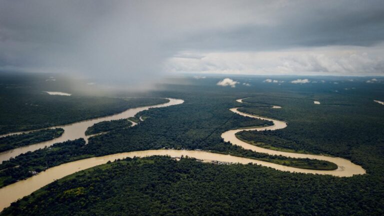 La ONU declara crisis humanitaria por contaminación con mercurio en el río Atrato
