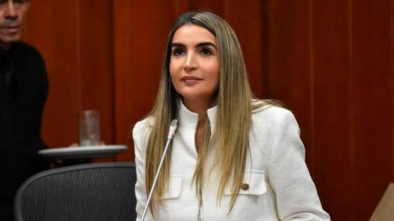 “Mientras no haya plata, no hay reforma”: Nadia Blel frena el mensaje de urgencia del Gobierno