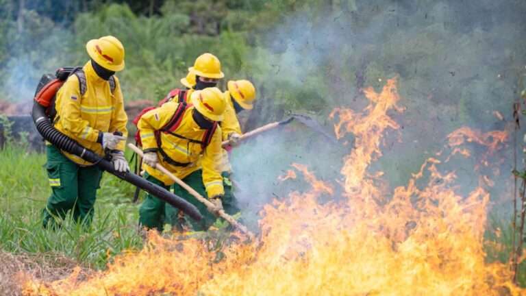 Colombia adopta tecnología satelital para anticipar incendios forestales