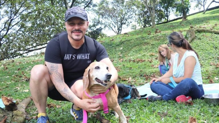 Los “viejitos” de La Perla tuvieron un día para ser amados: voluntarios acompañaron a los perros mayores del centro de bienestar animal