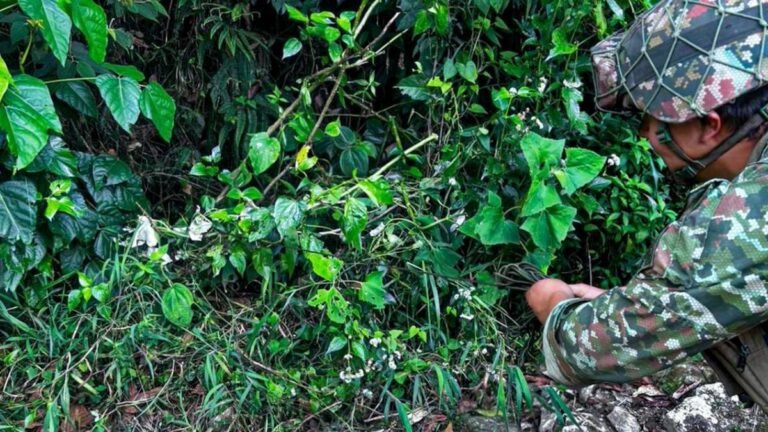 Ejército neutraliza artefacto explosivo en zona rural de Yarumal, Antioquia