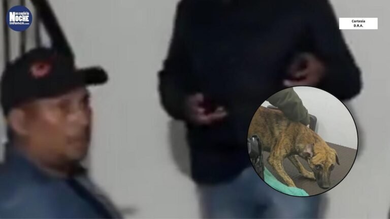 Se entregó el hombre que era buscado por agredir brutalmente a un perrito en Antioquia