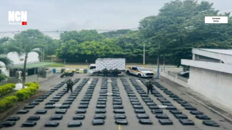 En Florida, Valle del Cauca, incautaron más de una tonelada de marihuana tipo Cripy