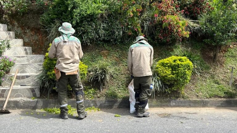 Parque Arví asume el 30 % del cuidado de las zonas verdes de Medellín