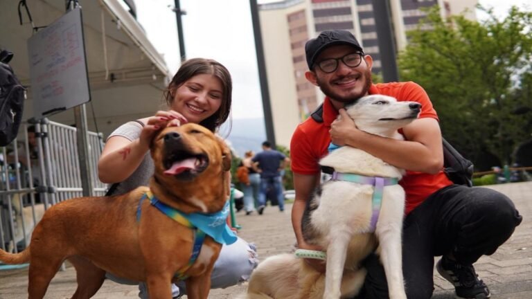 Medellín cierra el año con récord de adopciones y un firme llamado a unas fiestas sin pólvora