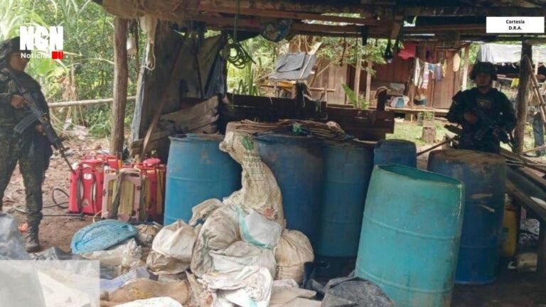Golpe a las economías ilícitas: neutralizados siete laboratorios del Clan del Golfo en el Oriente antioqueño