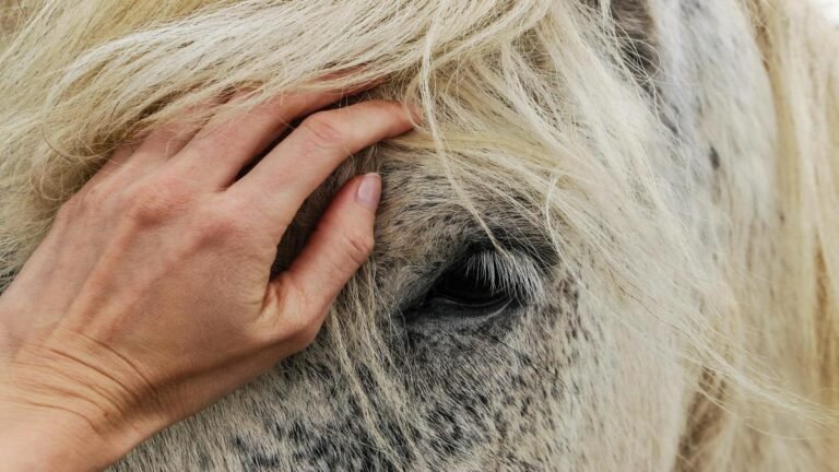Caso escalofriante: rastros de talio vinculan a Zulma Guzmán con envenenamiento de caballos