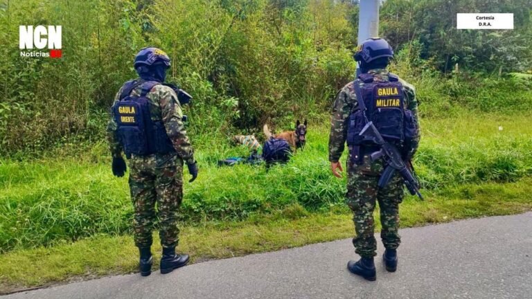 Incautan 80 kilos de cocaína en depósito ilegal en el municipio de Cocorná, Oriente de Antioquia