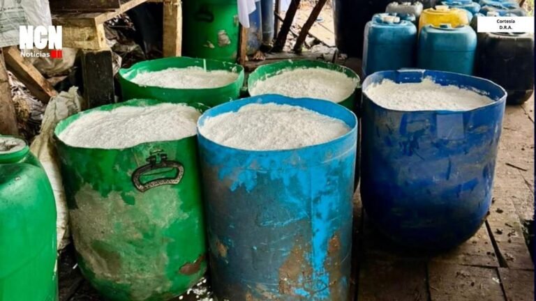 Golpe a las finanzas del Clan del Golfo: desmantelan mega laboratorio con más de 300 kilos de cocaína en Antioquia