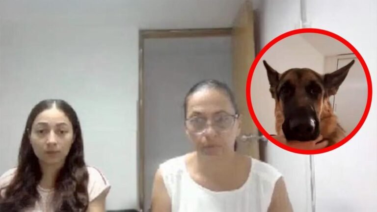 Condenan a madre e hija por quemar vivo a un perro en Sincelejo tras decir que estaba “poseído”