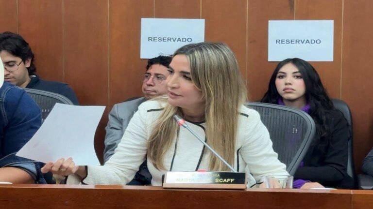 Nadia Blel sorprende al país: renuncia a la jefatura conservadora