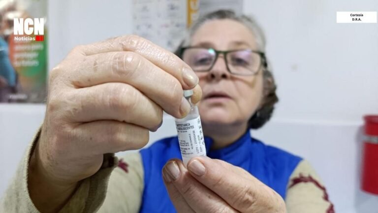 Bello ajusta su esquema de vacunación ante brotes de tosferina y fiebre amarilla