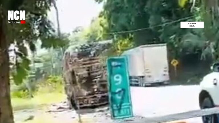 Hostigamientos en Valdivia ponen en riesgo a un camionero