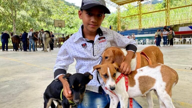 Pólvora: una amenaza silenciosa para los animales en Navidad