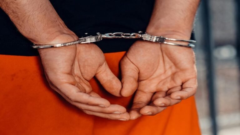 Delito sin castigo: sueltan en Bogotá a ladrones con 17 antecedentes