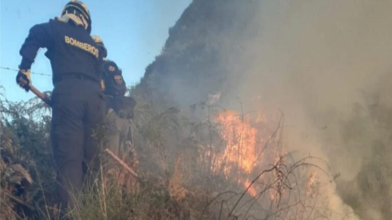Antioquia revela primer estudio integral de riesgo por incendios forestales: 1.874 emergencias en 29 años