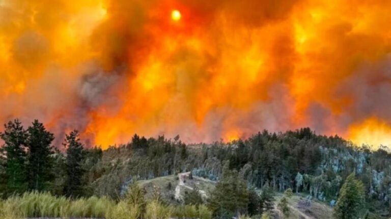 Incendio forestal masivo en Chile arrasa miles de hectáreas y mantiene en alerta a varias regiones