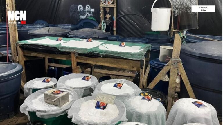 Más de 2.000 galones de insumos incautados tras destrucción de laboratorio en Cumbal