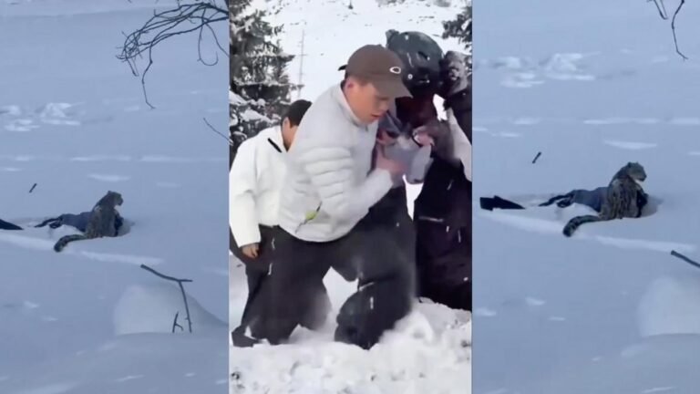 Viral: Leopardo de las nieves ataca a una esquiadora en el norte de China