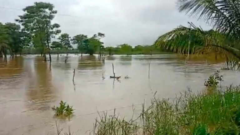 Emergencia por lluvias en Urabá: más de 1.200 familias damnificadas y ríos desbordados