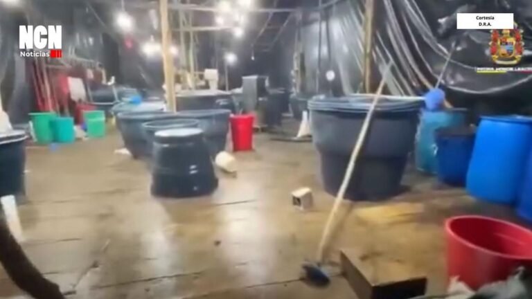 Golpe millonario al narcotráfico: Ejército destruye laboratorio de cocaína en frontera con Ecuador