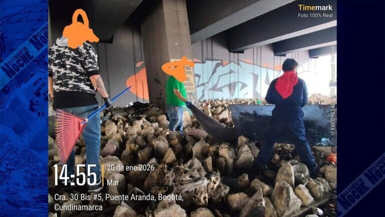 Macabro hallazgo en Bogotá: encuentran cientos de cráneos de perros bajo un puente. ¿Qué pasó?