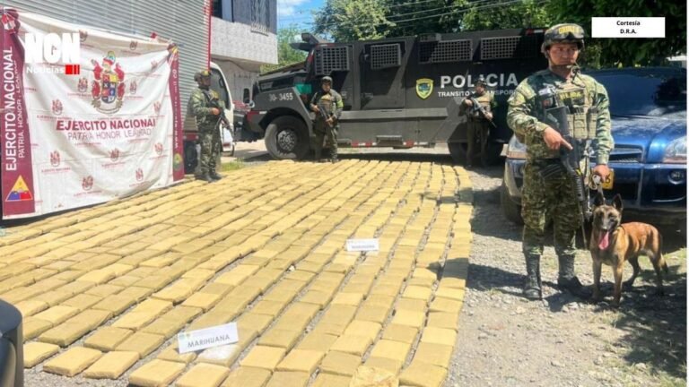 Golpe al narcotráfico en el Cauca: incautada marihuana tipo exportación y destruidos centros de procesamiento