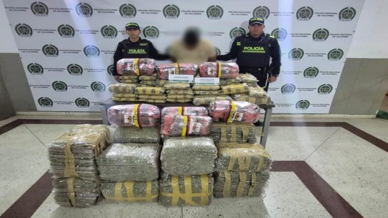 Incautan más de 240 kilos de marihuana en la Autopista Norte y capturan a un hombre de 30 años