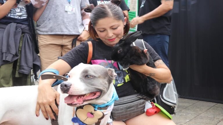 Medellín avanza en la construcción de su Política Pública de Protección Animal