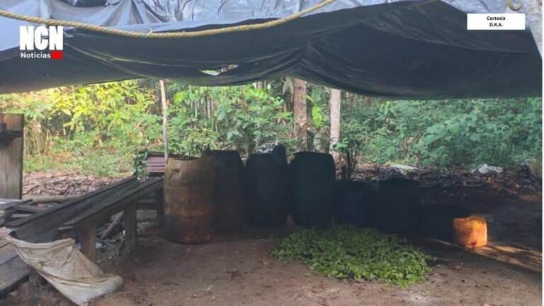 Golpe al narcotráfico en Guaviare: Ejército destruye laboratorio de coca en Miraflores