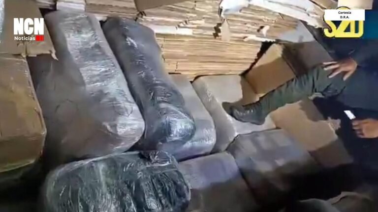 Incautan 732 kilos de marihuana en vía Villa Rica–Candelaria: tres capturados
