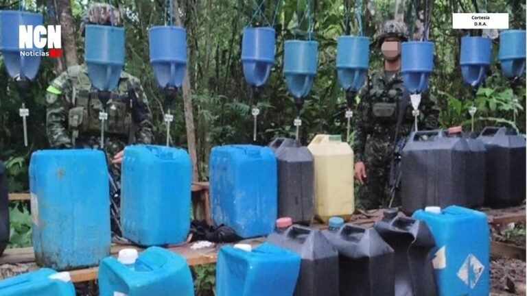 Ejército y Policía destruyen laboratorio de permanganato de potasio en Valle del Guamuez, Putumayo