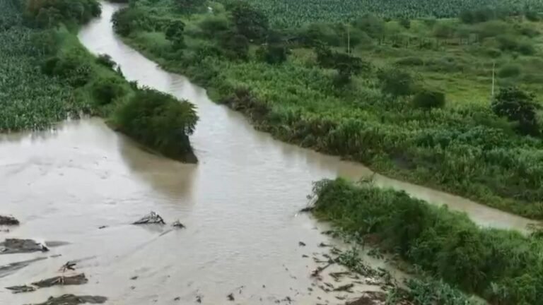Emergencia climática en Urabá amenaza al sector bananero: más de 1.200 hectáreas de cultivo en riesgo