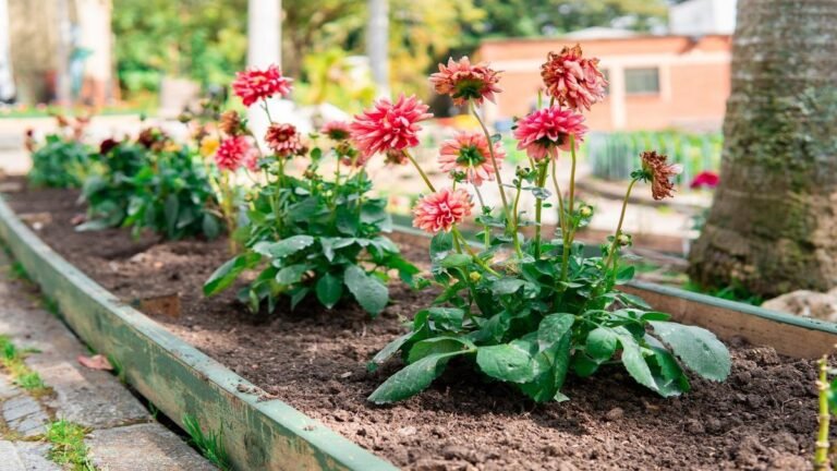 Santa Elena florece: más de 4.500 nuevas plantas revitalizan el corazón verde del corregimiento