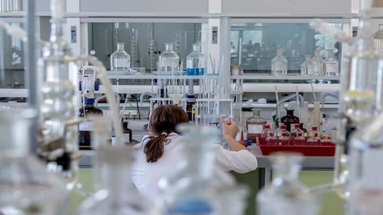 Hoy se conmemora el Día Internacional de la Mujer y la Niña en la Ciencia