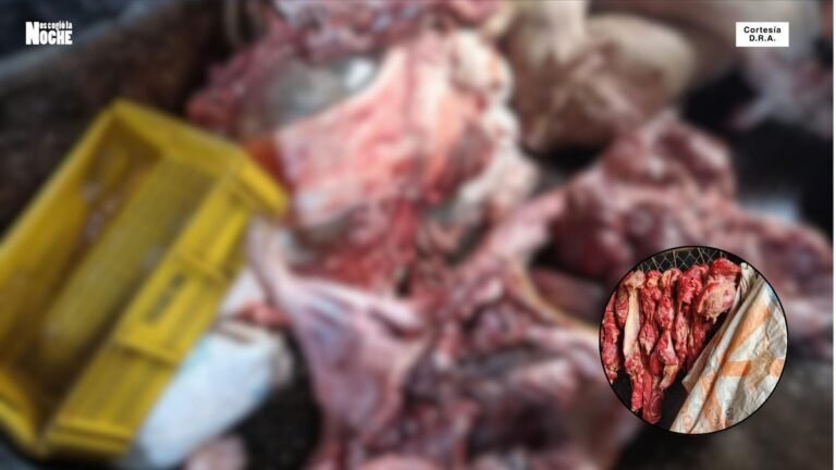 1.800 kilos de carne rancia fueron incautados en un municipio de Antioquia