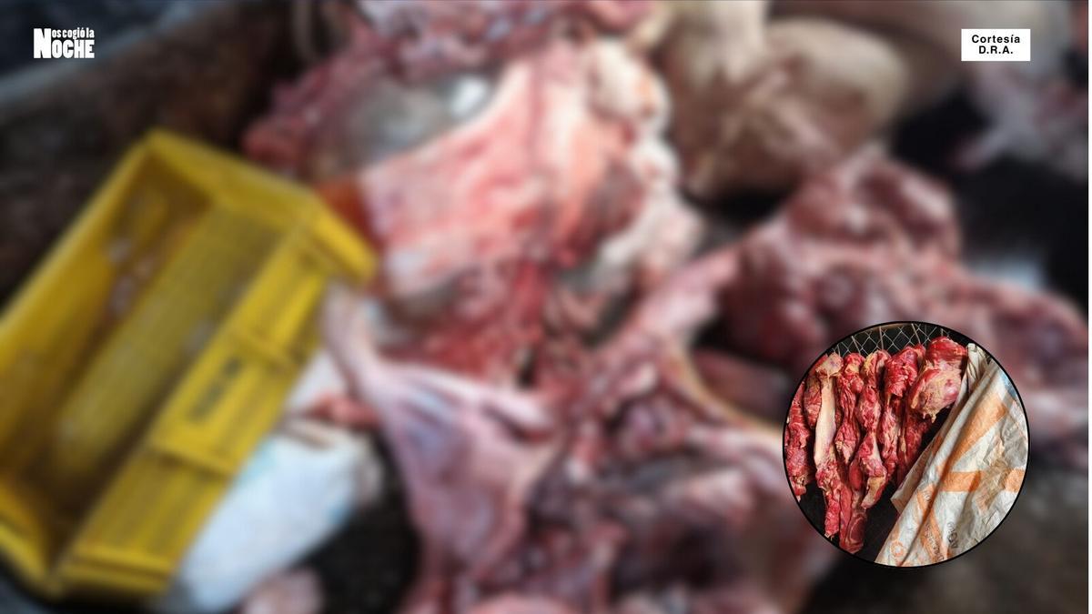 1.800 kilos de carne rancia fueron incautados en un municipio de Antioquia