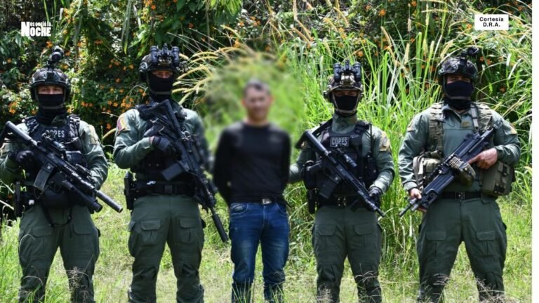 Cae experto en explosivos del Frente 36 de las Farc en Anorí, Antioquia