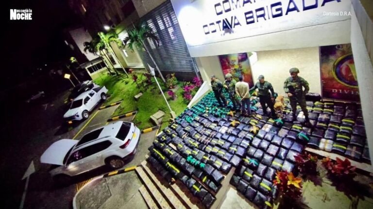 Una tonelada de marihuana incautada y un capturado en operativo militar en Quindío