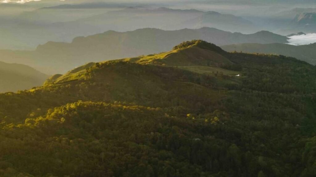 Sembrando Futuro 2.0 impulsa la restauración de ecosistemas y el desarrollo rural en Colombia