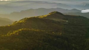 Sembrando Futuro 2.0 impulsa la restauración de ecosistemas y el desarrollo rural en Colombia