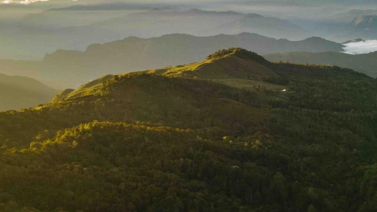 Sembrando Futuro 2.0 impulsa la restauración de ecosistemas y el desarrollo rural en Colombia