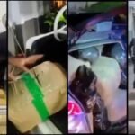 Golpe al narcotráfico: incautan 430 kilos de marihuana en vías de Tolima y Valle