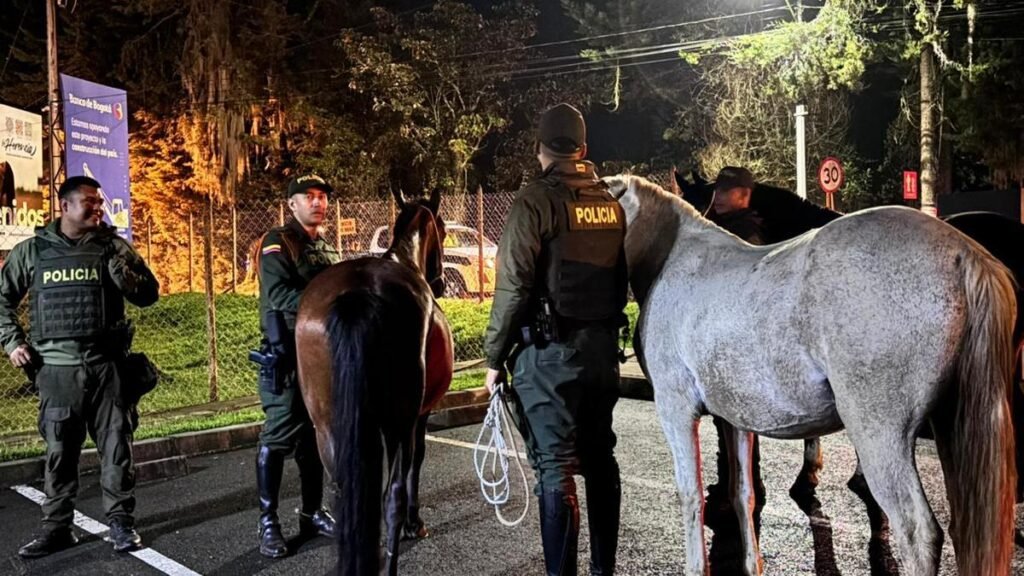 Autoridades de El Carmen de Viboral retiran caballos sueltos de las vías para prevenir accidentes