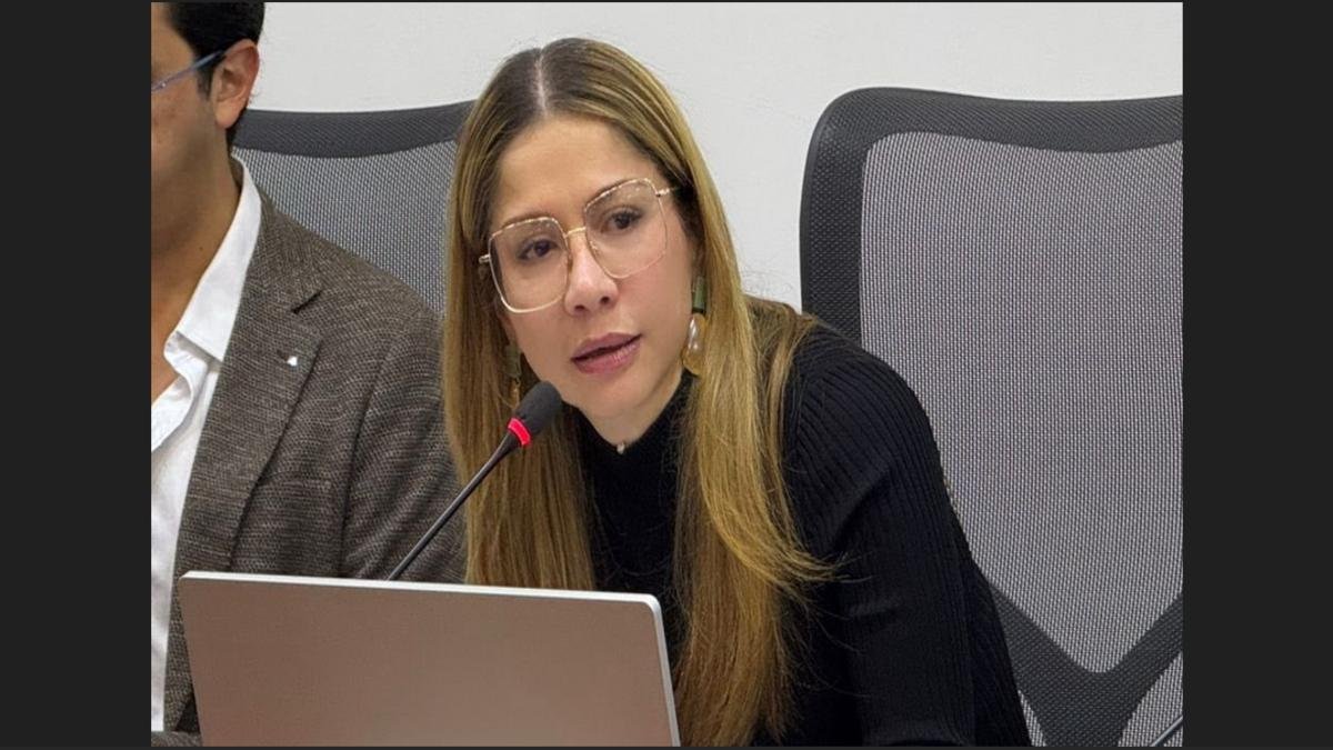 Verdes insisten en objeción de conciencia