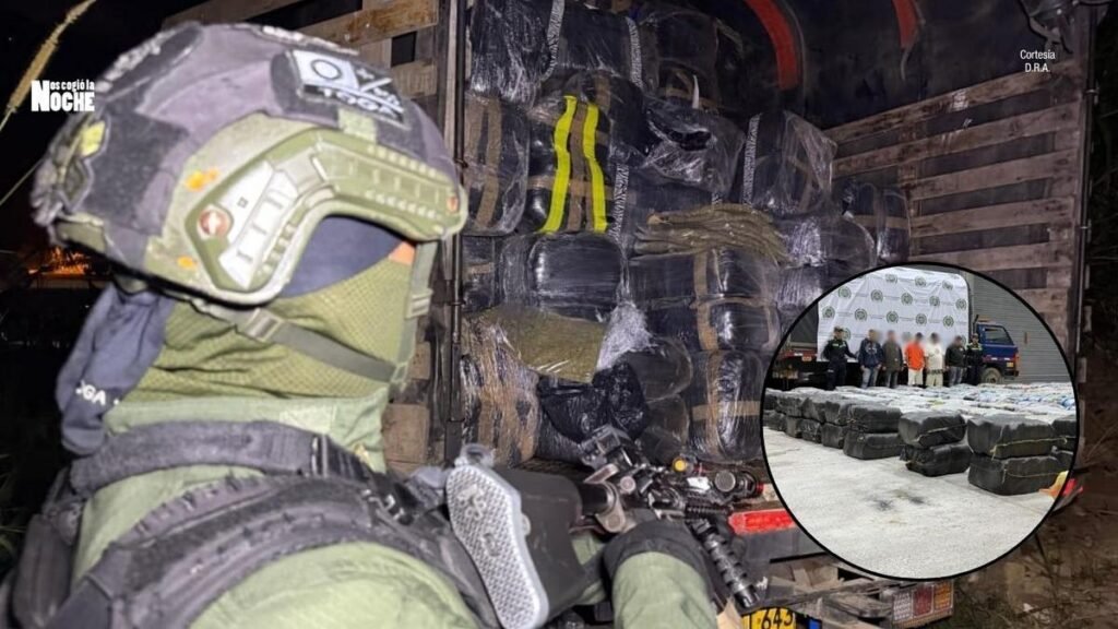 Golpe al narcotráfico en Medellín: incautan cinco toneladas de marihuana y capturan a cinco presuntos integrantes de bandas criminales