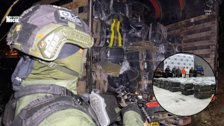 Golpe al narcotráfico en Medellín: incautan cinco toneladas de marihuana y capturan a cinco presuntos integrantes de bandas criminales