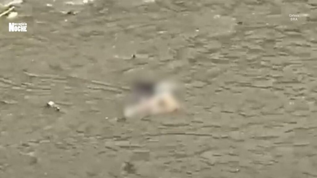 Alerta por cuerpo sin vida hallado en el Río Medellín